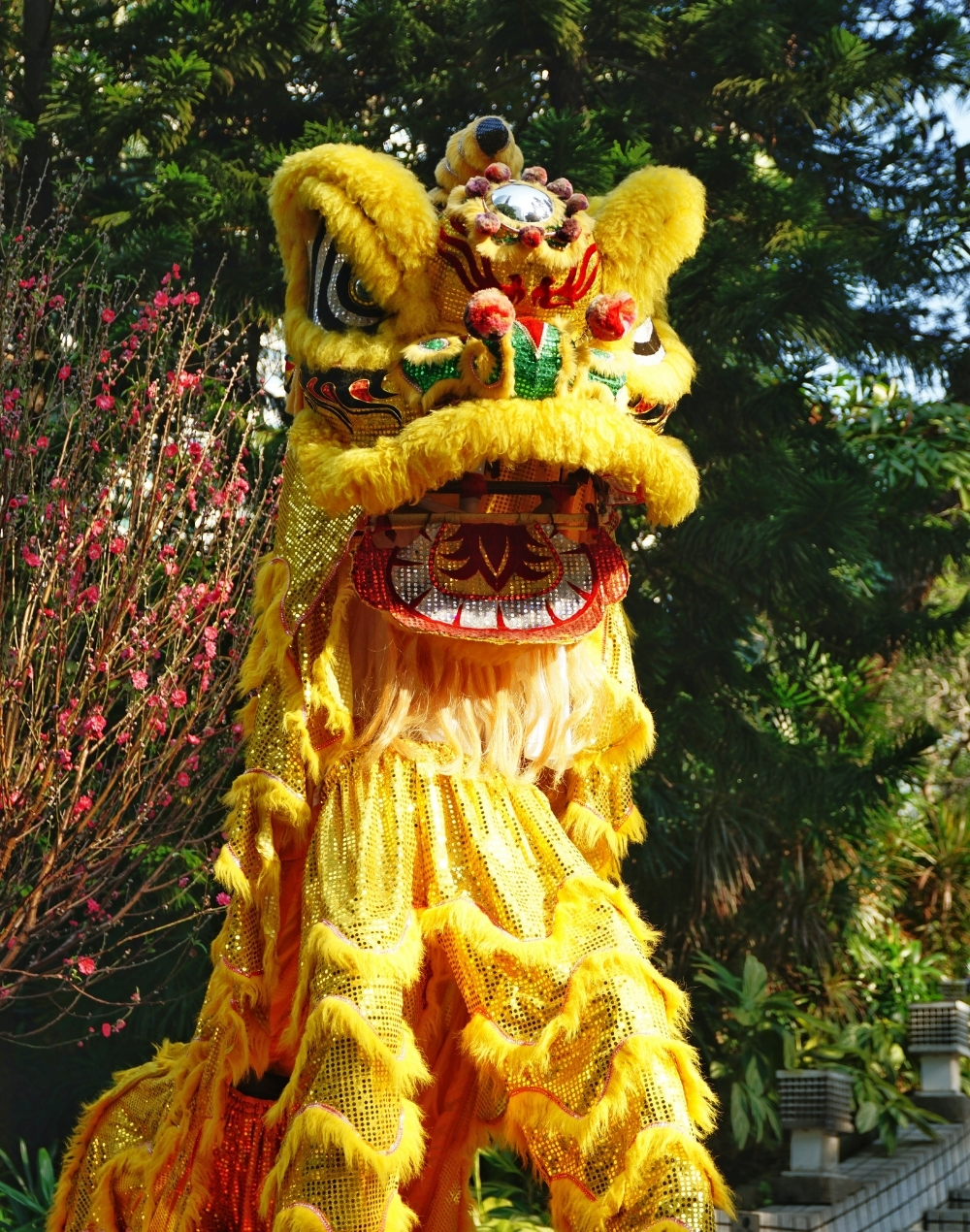 Lion Dance